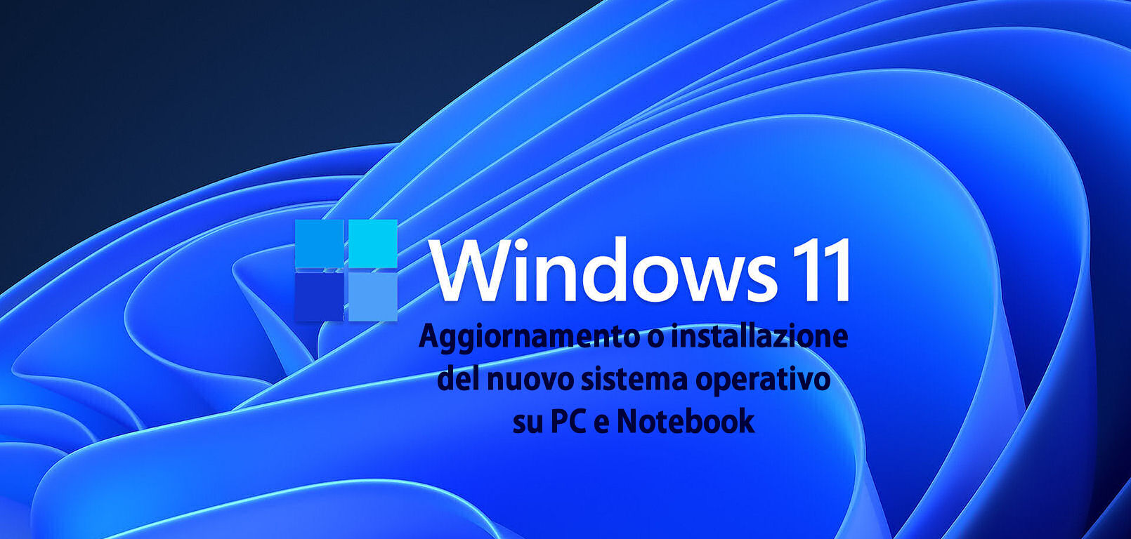 W11